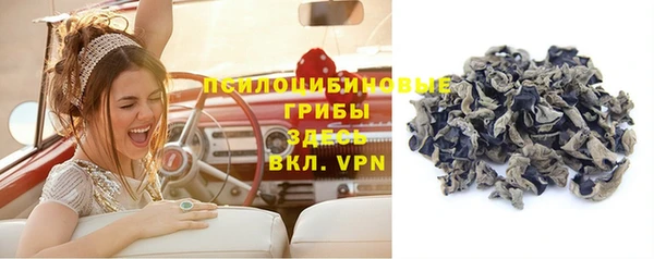 круглые Гусев