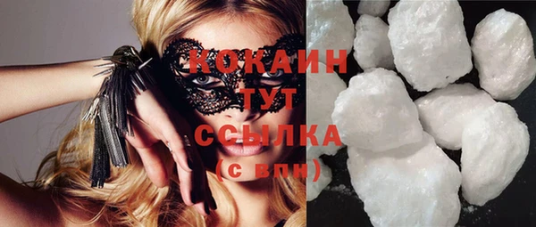 круглые Гусев